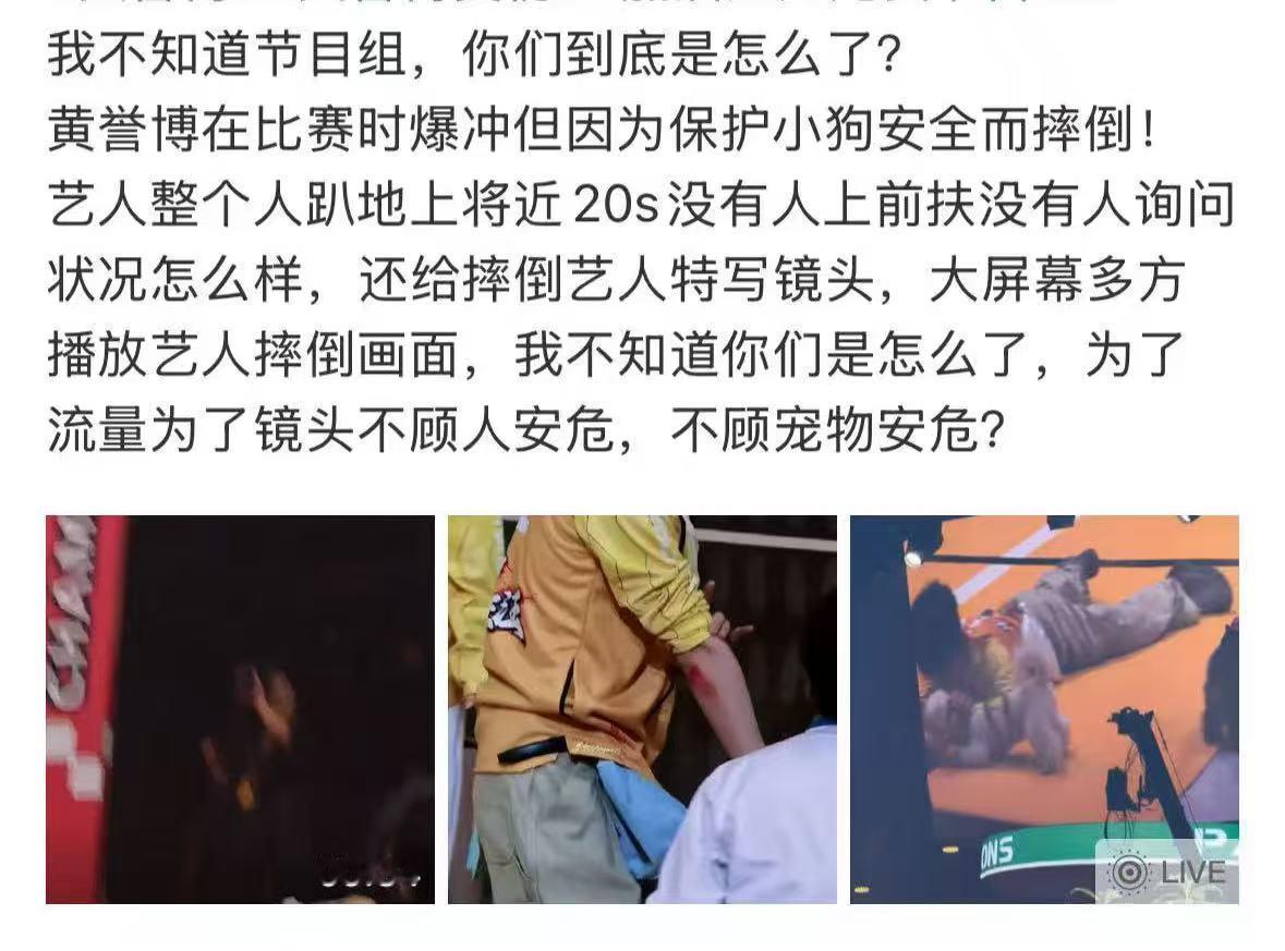 黄誉博为保护狗狗受伤心疼黄誉博 完全就是心疼了，黄誉博为保护狗狗受伤，趴在地上近