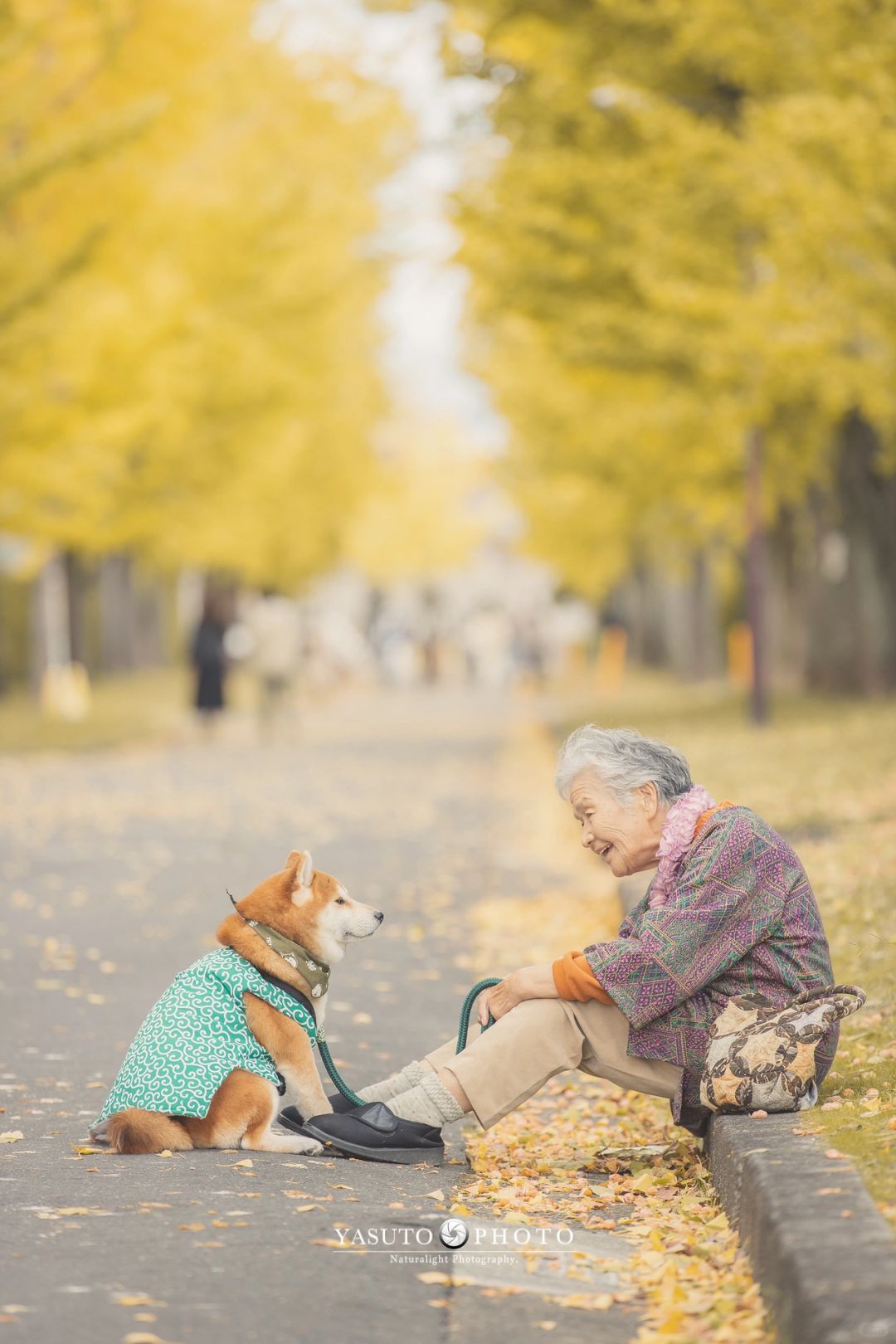 奶奶和柴犬阿福的日常