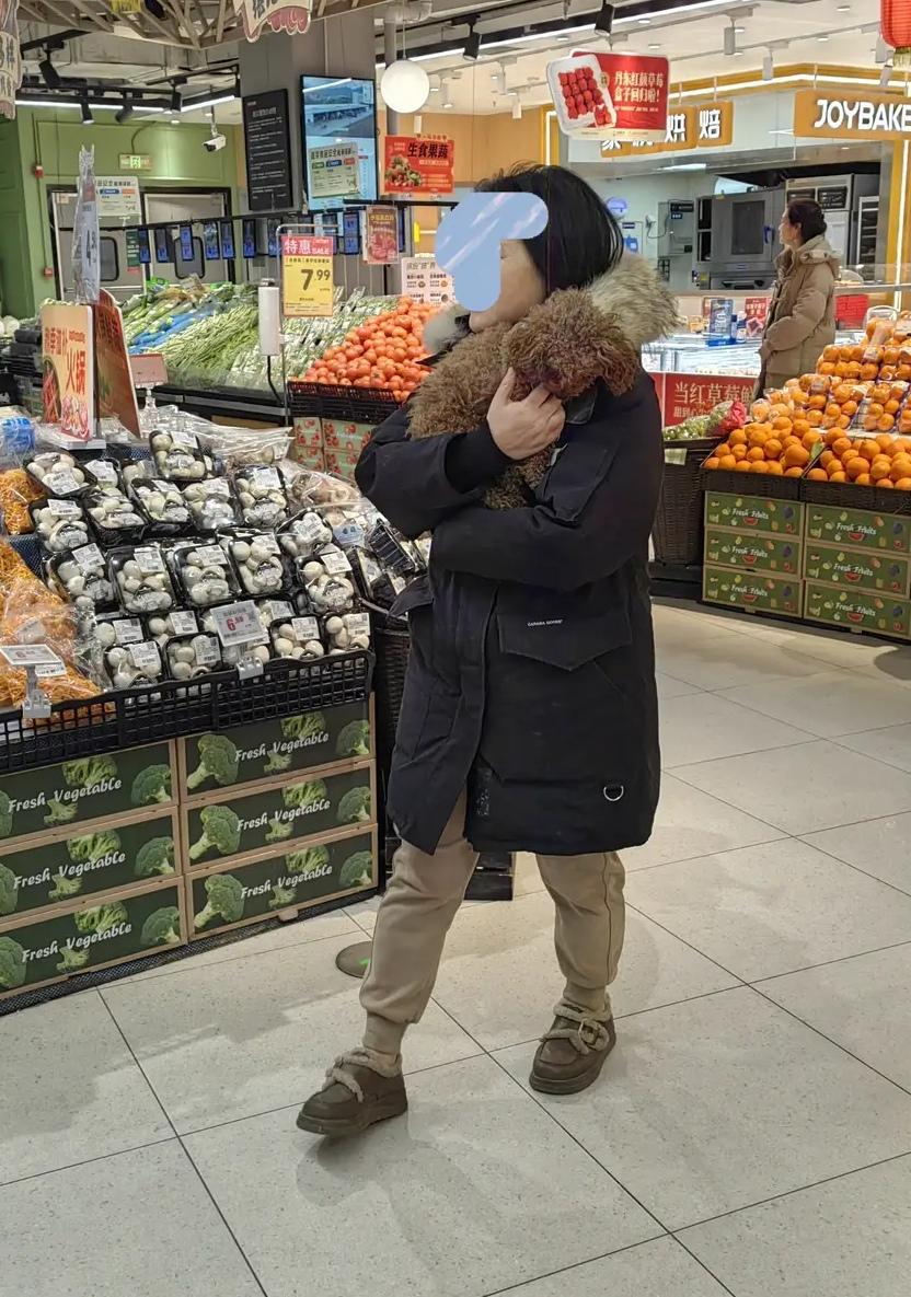 今天去超市悄悄拍的照片，一位中年女人抱着泰迪逛超市，边走抚摸泰迪，泰迪在她怀里乖