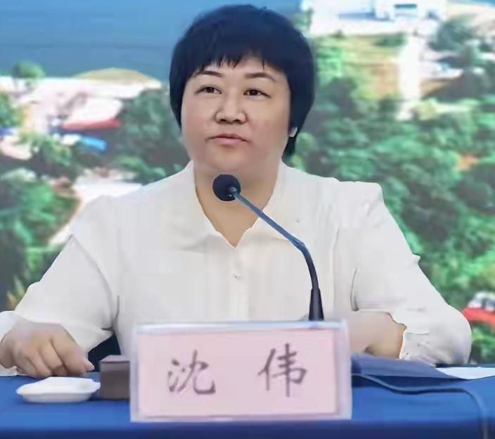 免职3天后，信阳市原水利局的沈伟官网被查，曾任职潢川县多年

1975年出生的沈