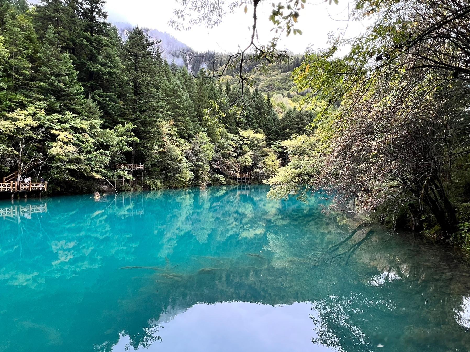 送一组九寨沟的水景，不都是这次拍的，毕竟这次无人机已经不能飞了。就把几年前的照片