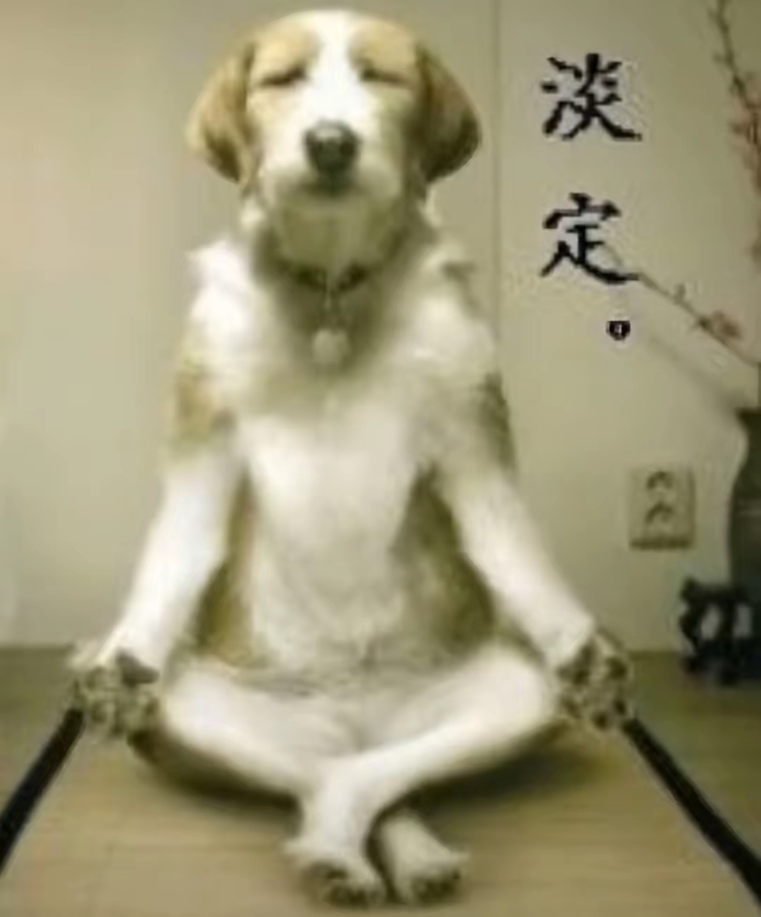 分享图片 