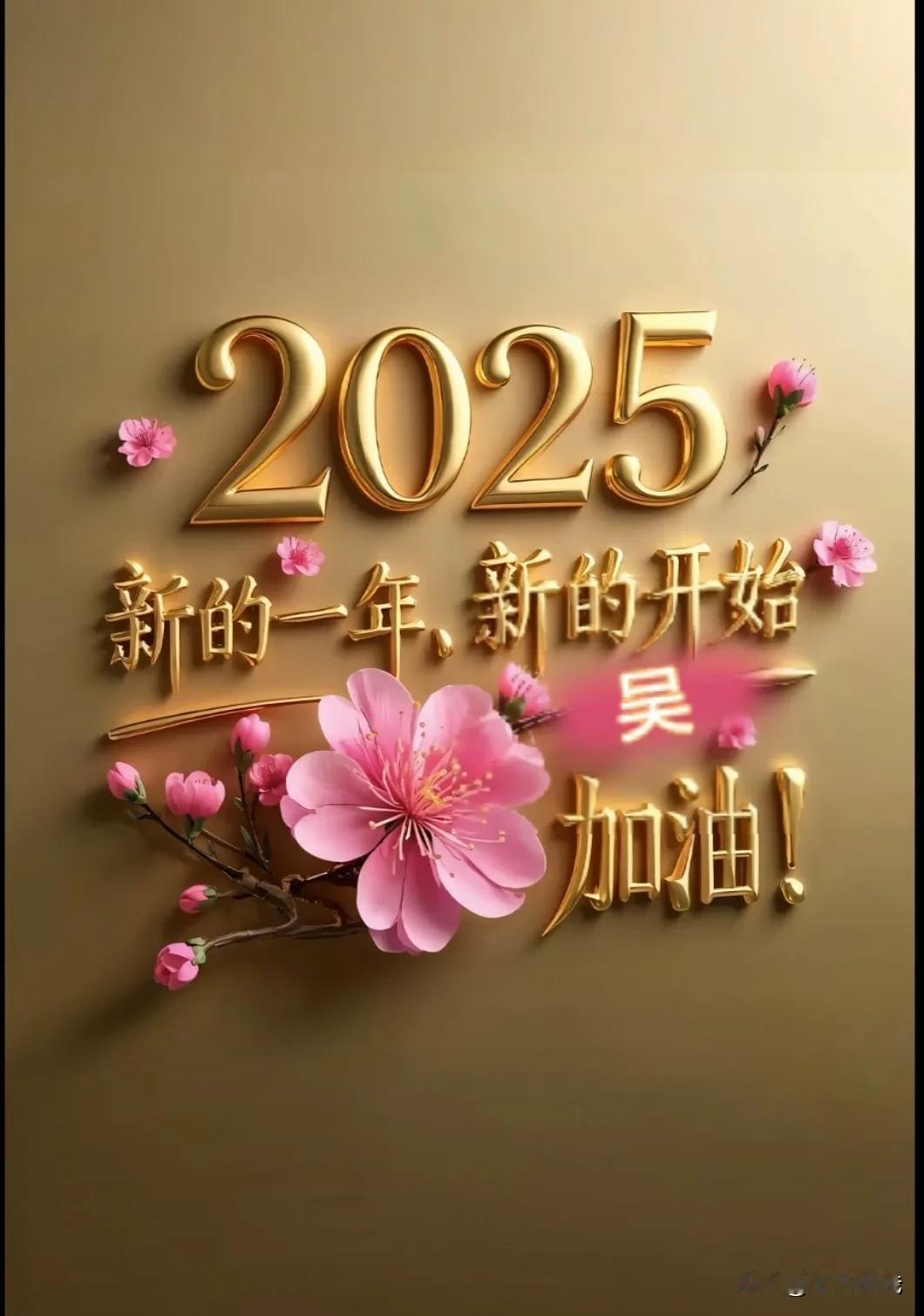 新的一年新的开始，2025年财到我家。