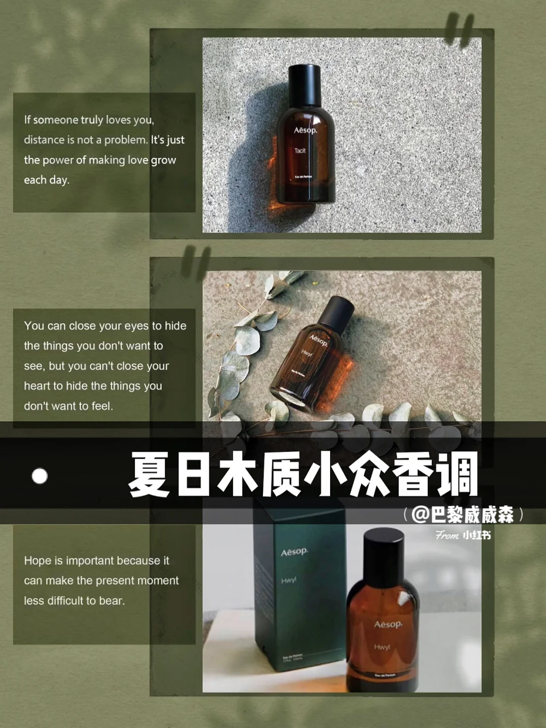 夏日清爽侧脸的🟤木质小众香水味道