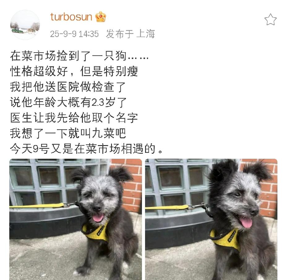 孙俪，还得是你！

2025年9月9日下午，孙俪在社交平台分享了一段动态，她说自