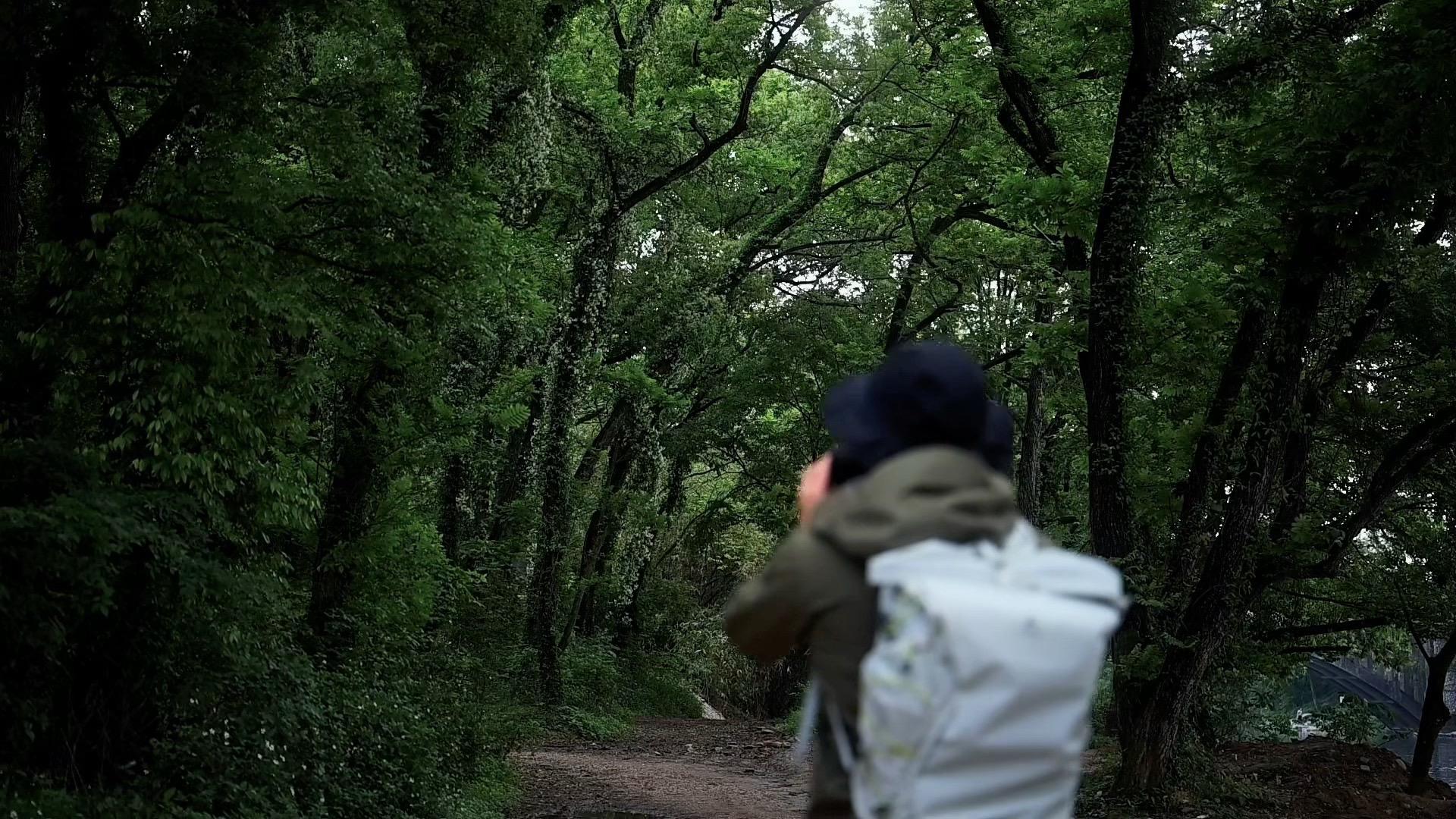 踏青