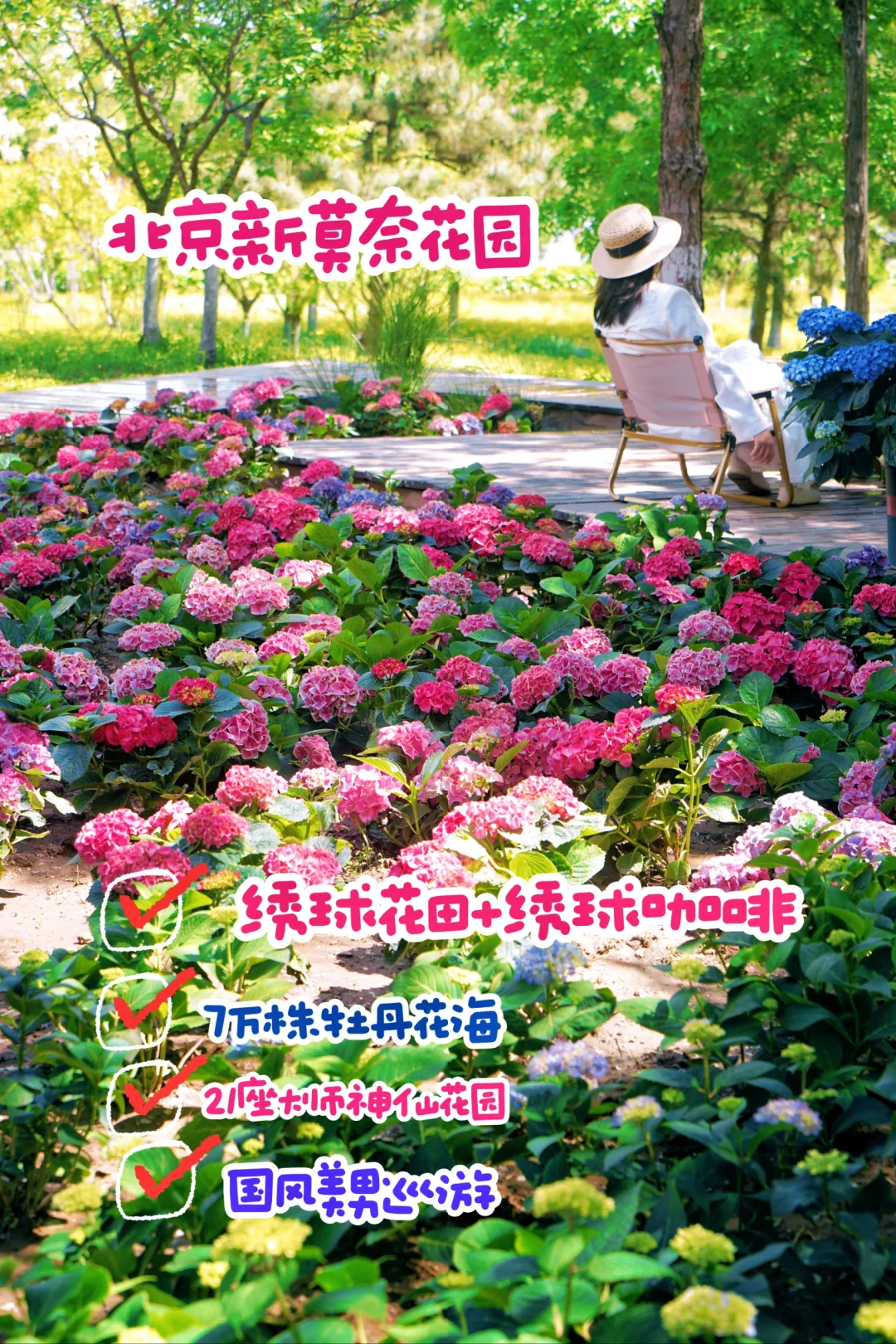 北京新莫奈花园‼️7万株牡丹➕21神仙花园