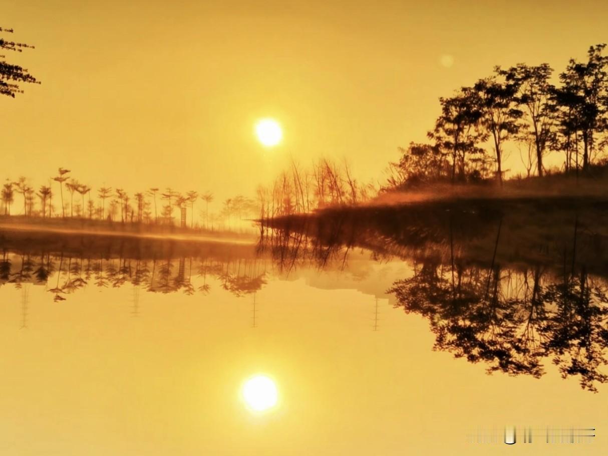 有鱼的时候是钓鱼佬，没鱼的时候是摄影师