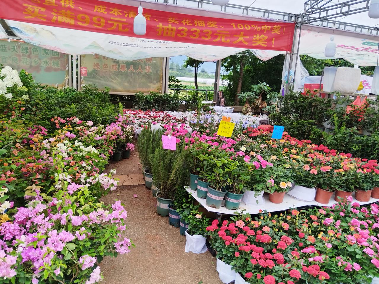 今天的宜良花街