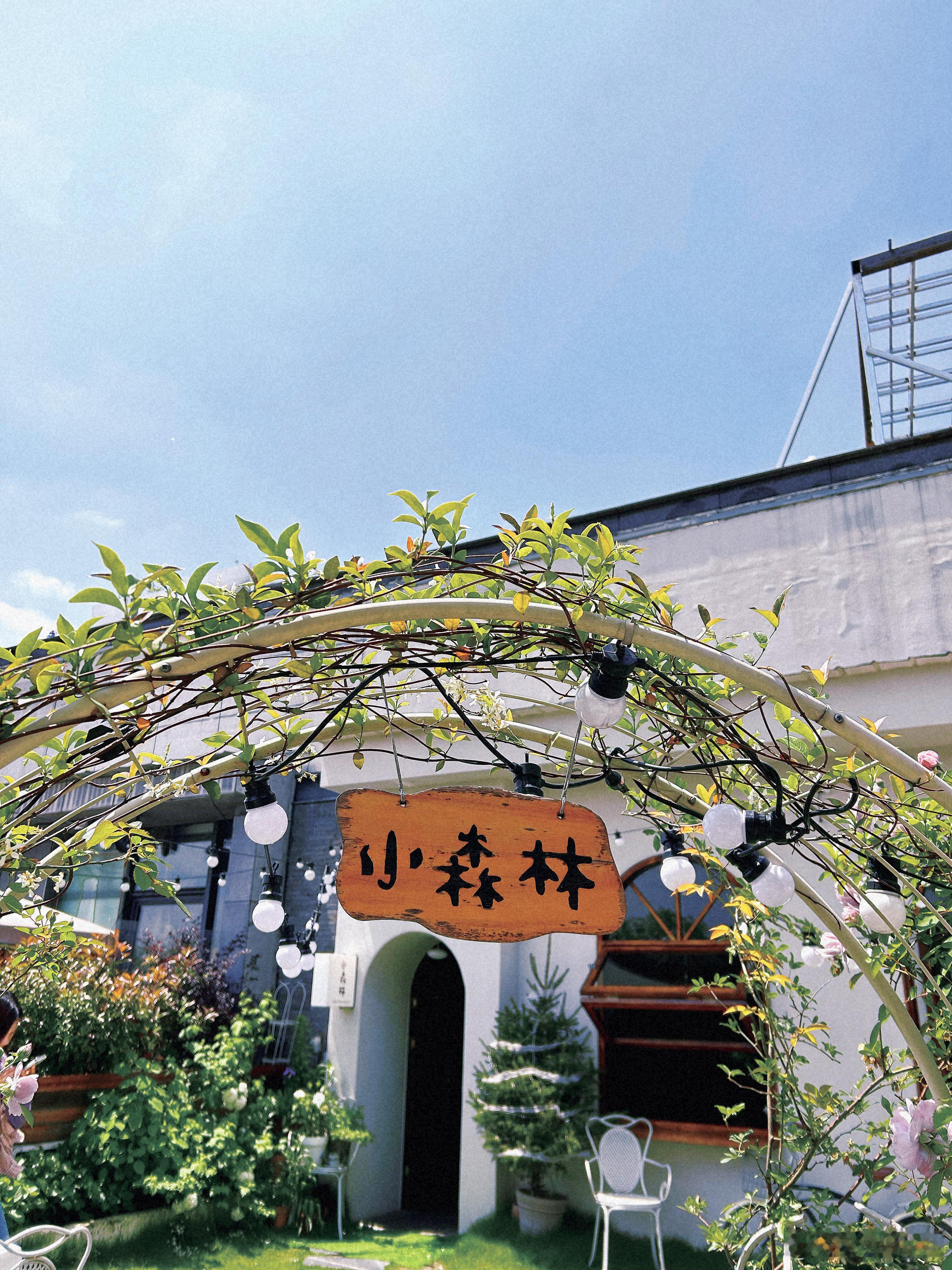 徽菜吃腻了来点西餐消消食[喵喵] ​​​