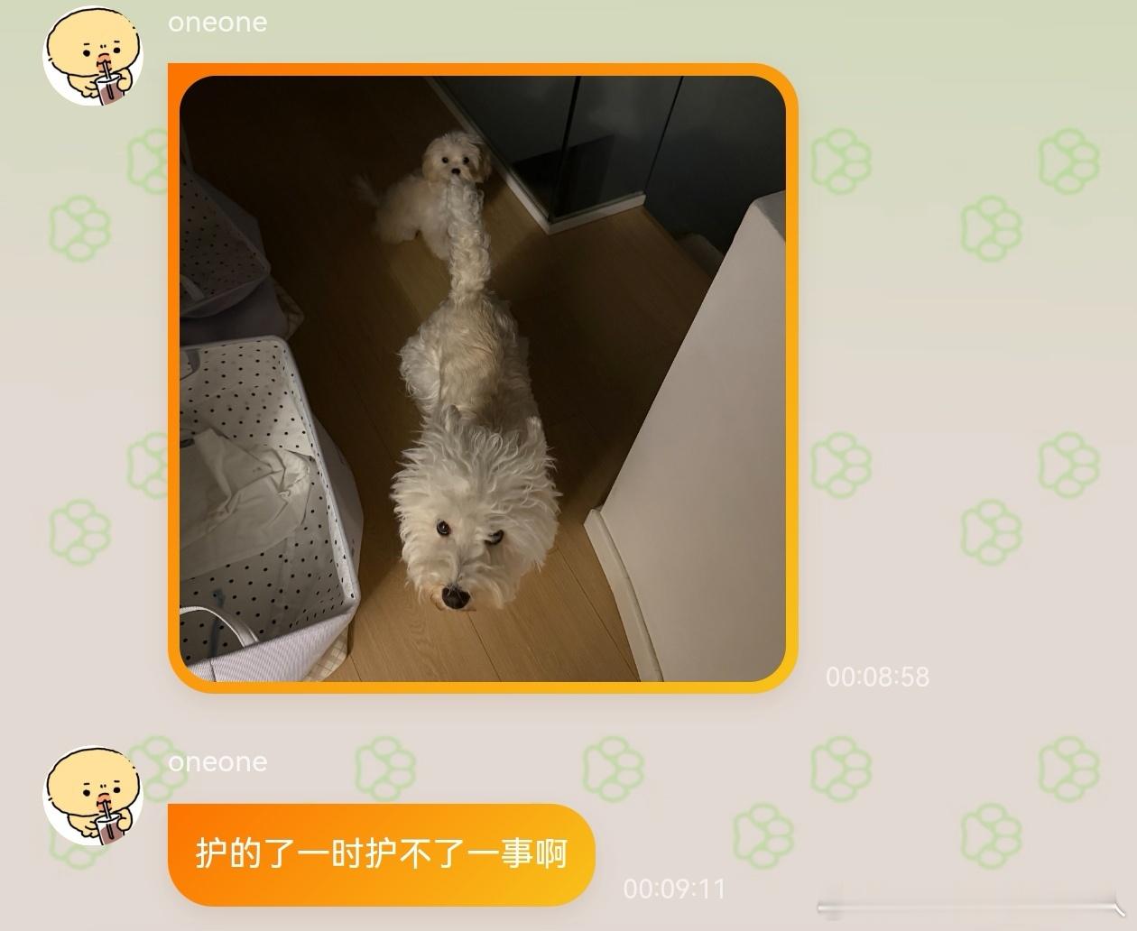 不呆[超话] 我们小呆是好哥哥🐶知道妹妹尿床了护着妹妹[抱一抱] ​​​
