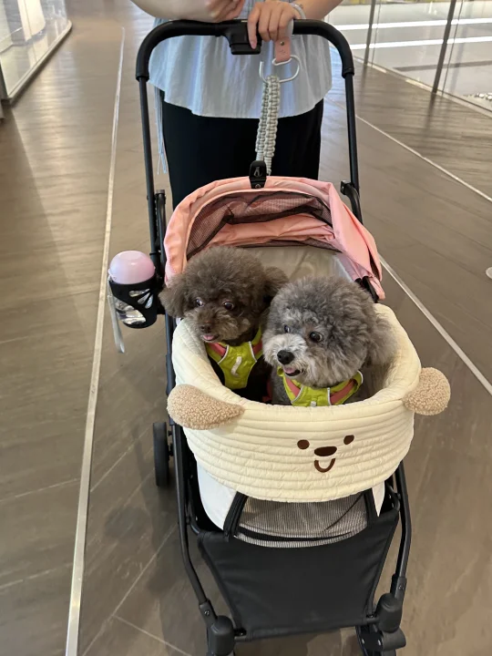 出来玩就是开心喏，换个商场逛逛