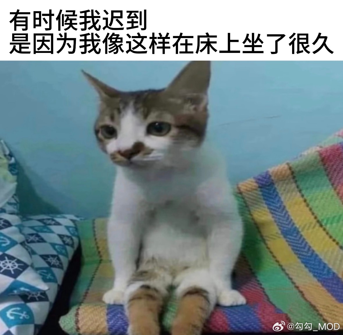 早上坏。Kou勾勾