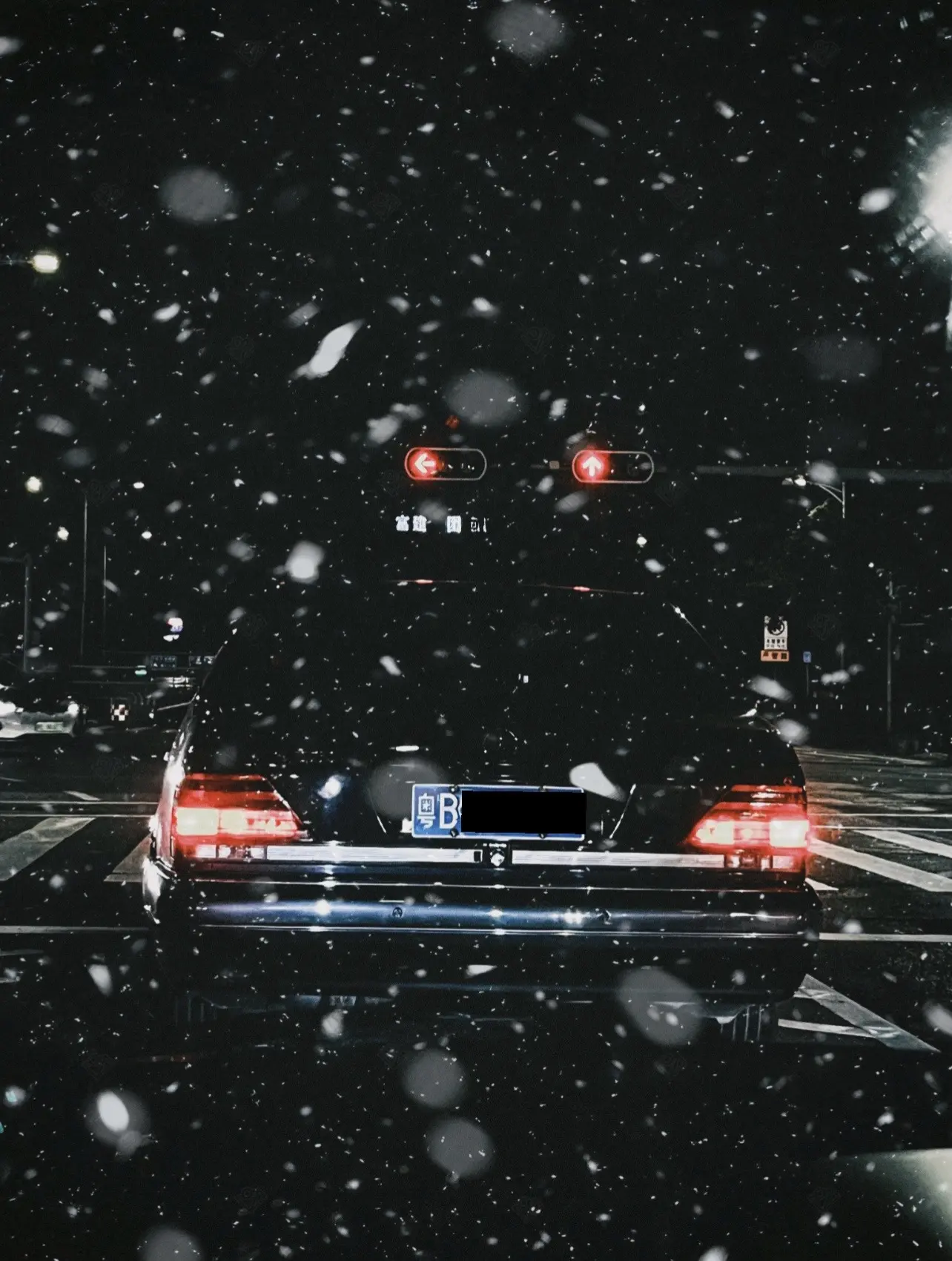 终于知道夏树的叔叔是谁了…