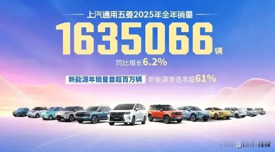 3100万家庭认五菱当“家人”？年度菱感记忆太好嗑！
 
2025年五菱狂卖16