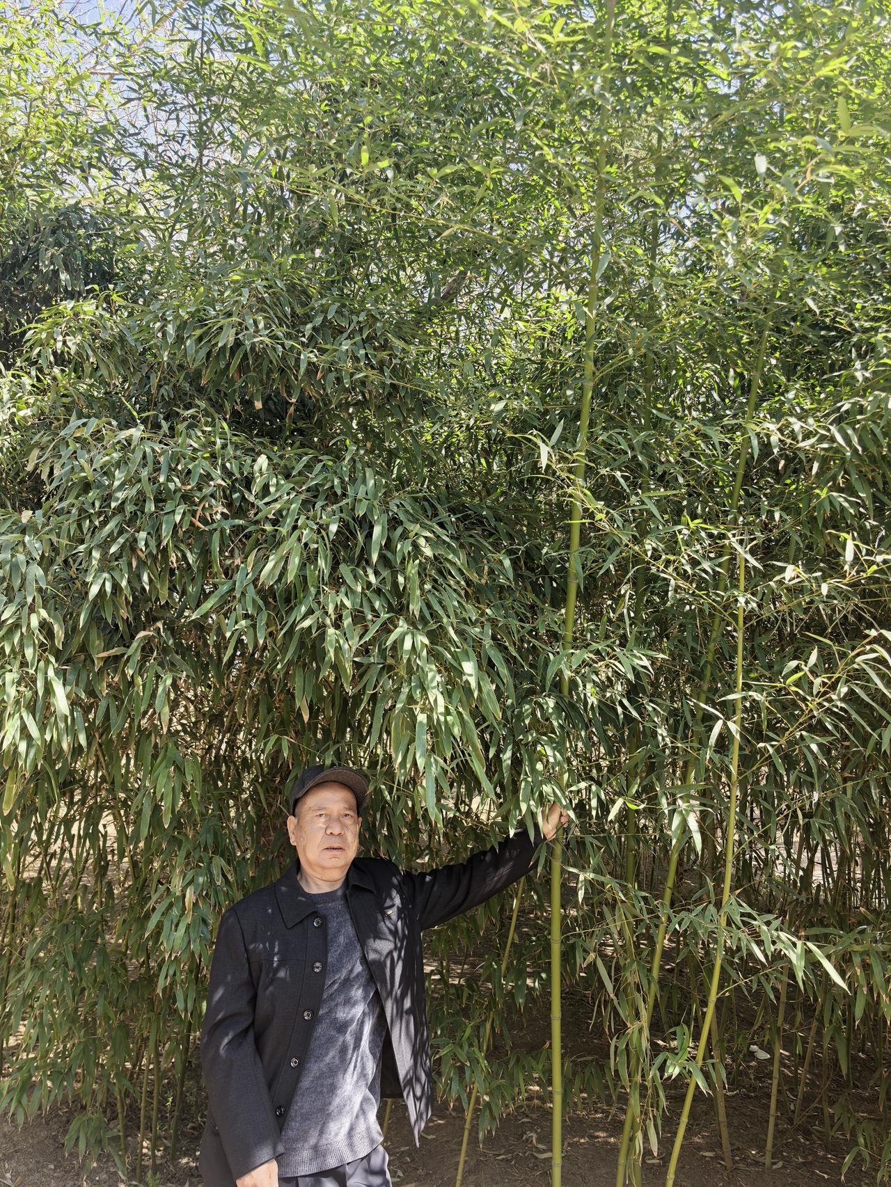 可惜我从不喝酒，不然的话，今天中午的拌菜绝对是一盘最好的下酒菜。
上午我听邻居说