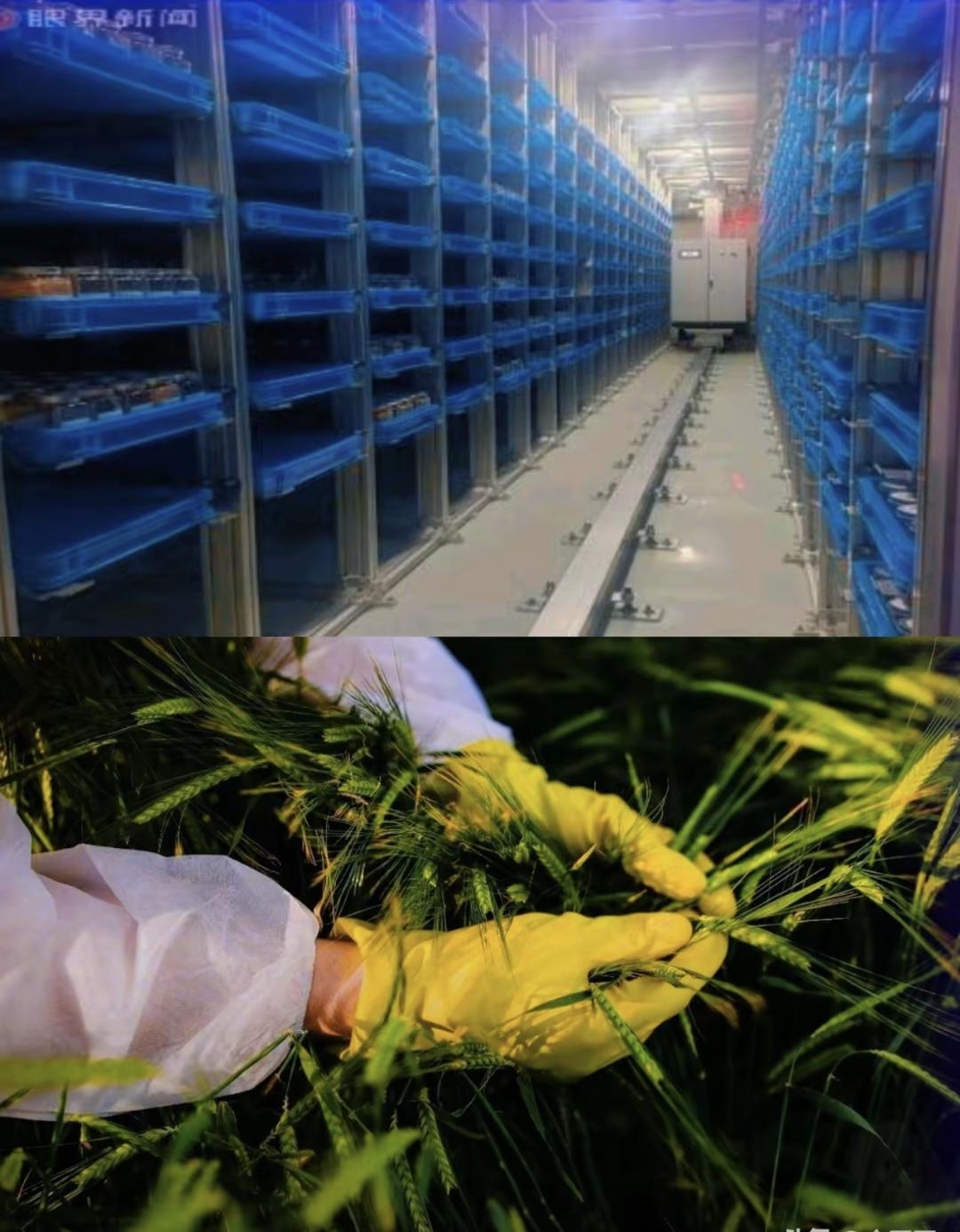 无人机半夜在田里转，蜂农说蜜蜂死了，网上有人喊“间谍来了”。
其实不是啥阴谋，就