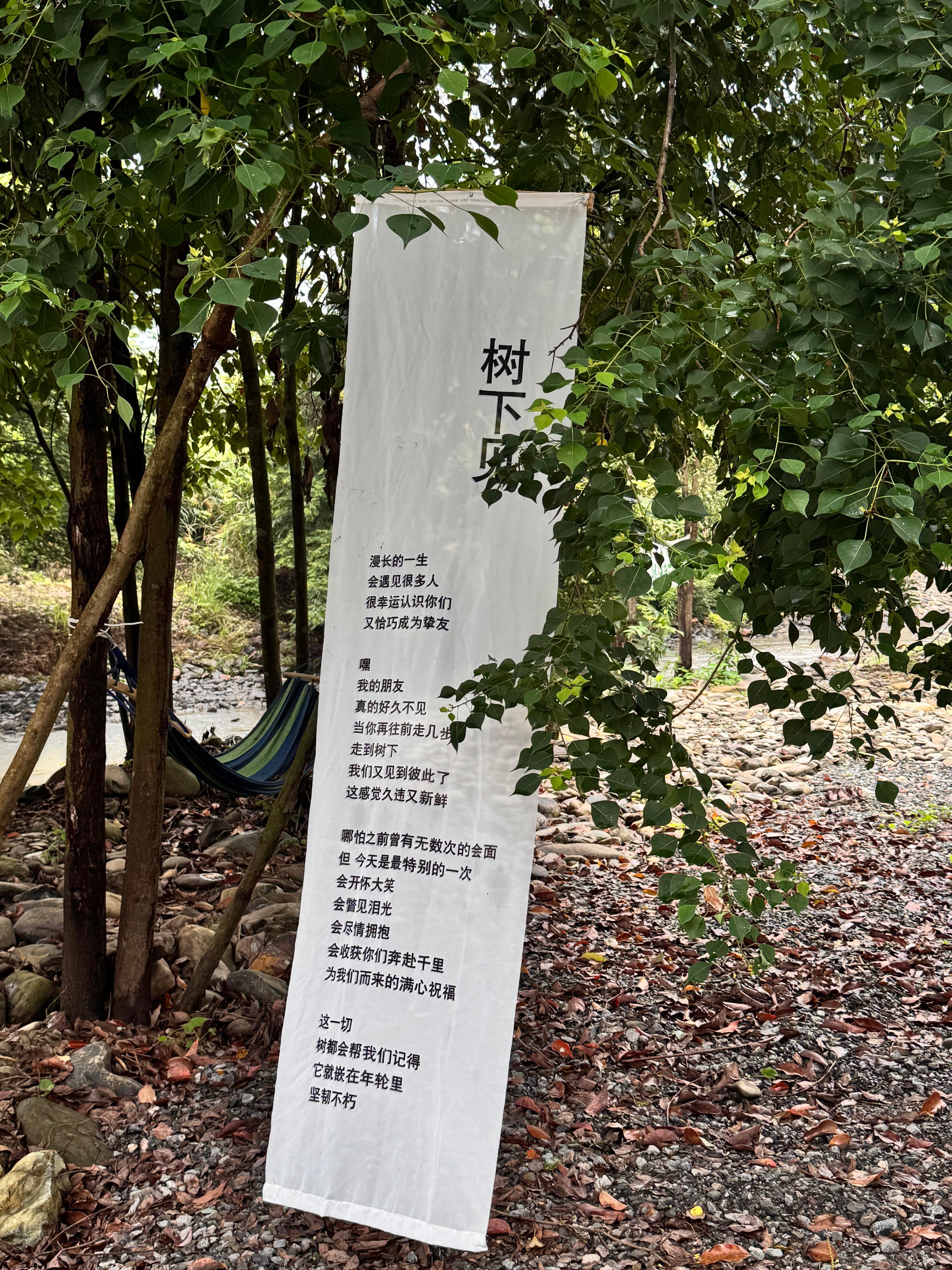 去大自然里冰镇自己 