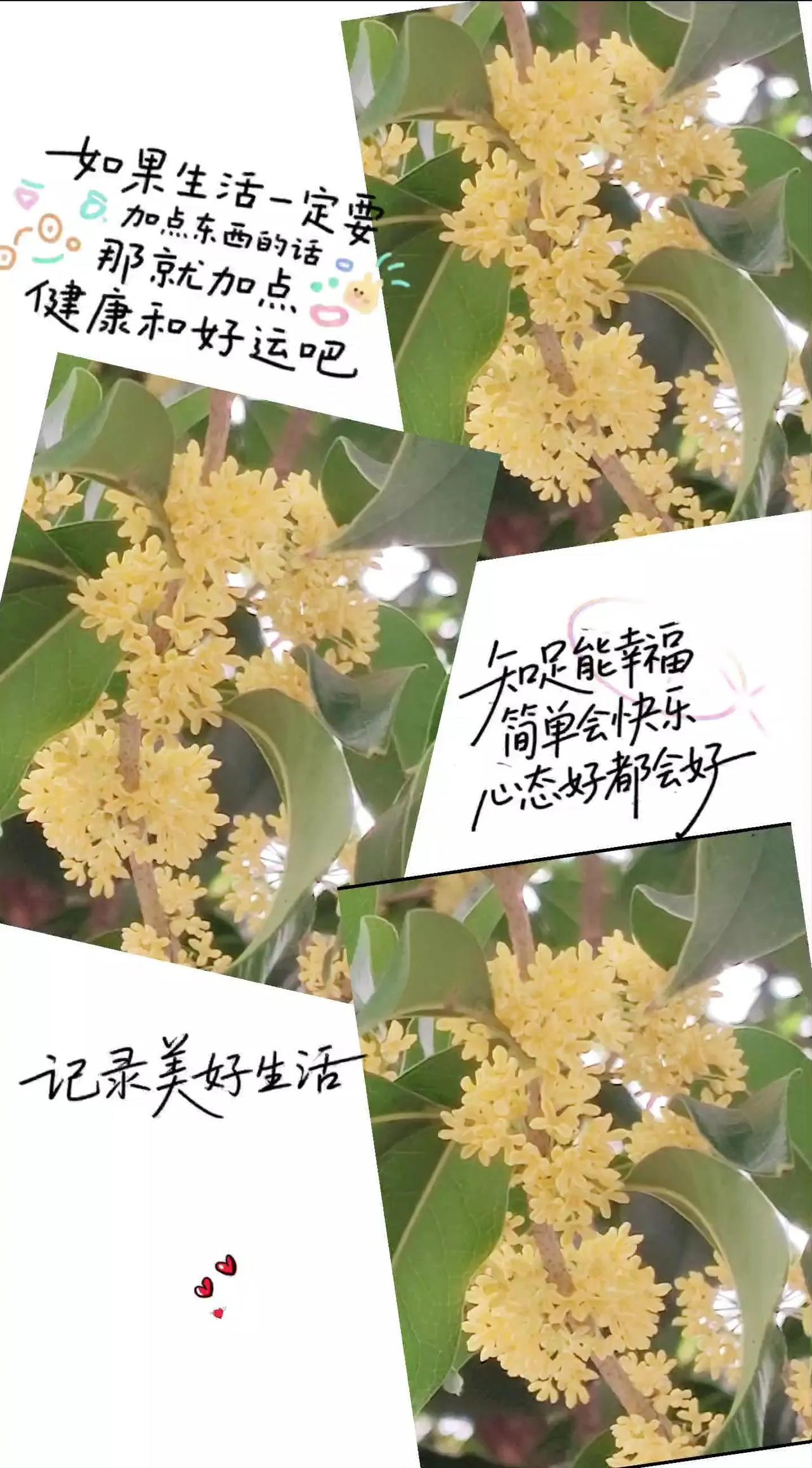 或许，生活就是这样了吧。