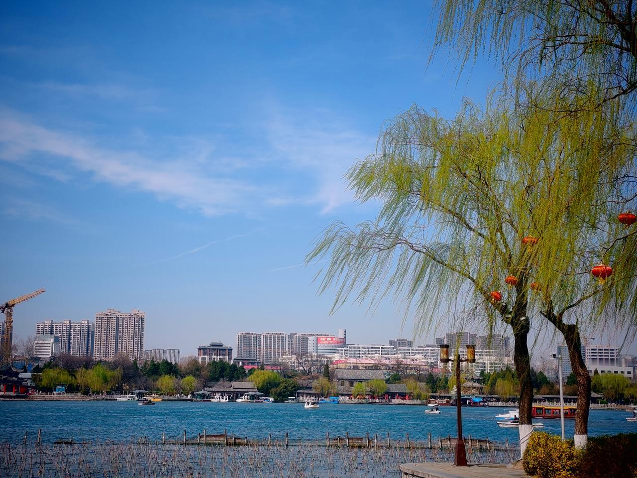 条友这一周 这周有件趣事，让我想起“成长最快的方式就是硬着头皮上”这句话。人生机