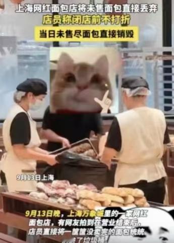 看着真心疼！
上海一家网红面包店每天把没卖完的面包直接扔垃圾桶，这些面包可不便宜
