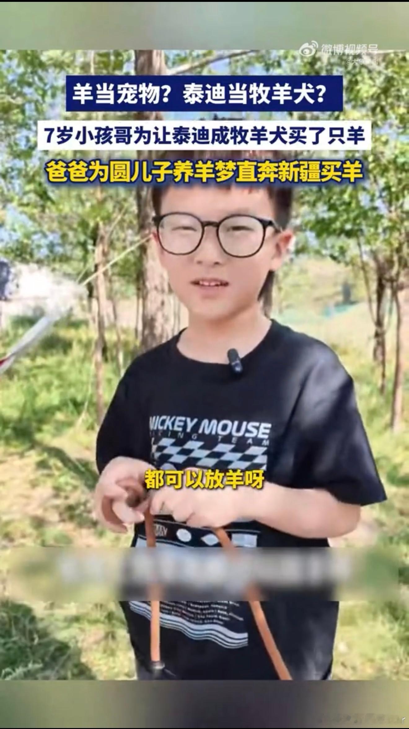 7岁小孩哥为让泰迪成牧羊犬买了只羊看这个故事，一半是浪漫，一半也看到现实争议。孩