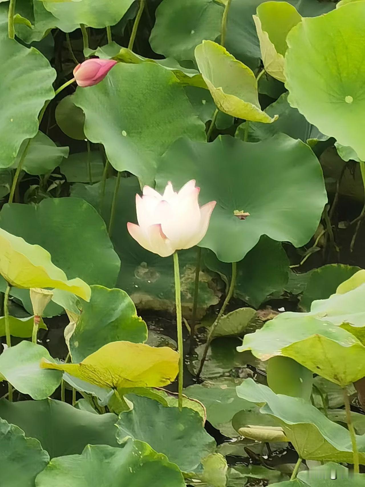 别总羡慕那些干啥都利索、啥活儿都难不倒的女人，看着样样都行，其实背后遭了多少罪没