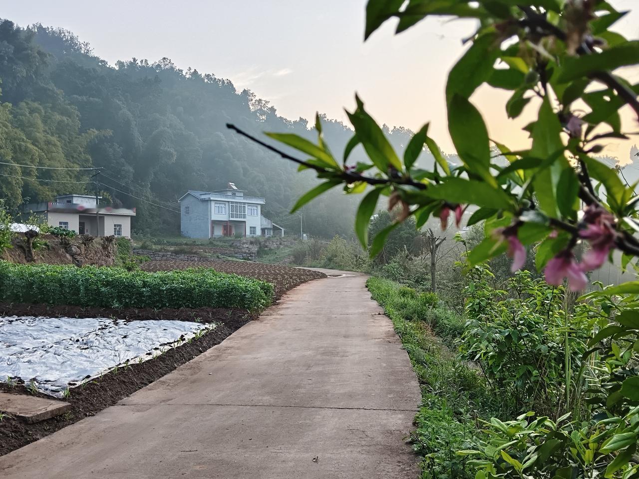 扎心了，5岁男童每天步行12华里上学
家有儿女那些事
清晨，太阳还未在东边山尖冒