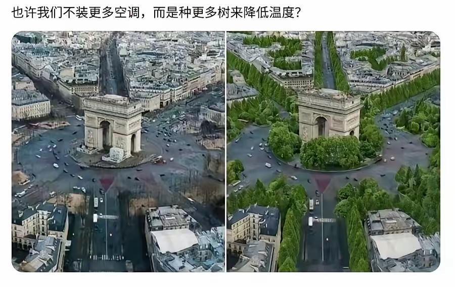 欧美种树都会被举报的！