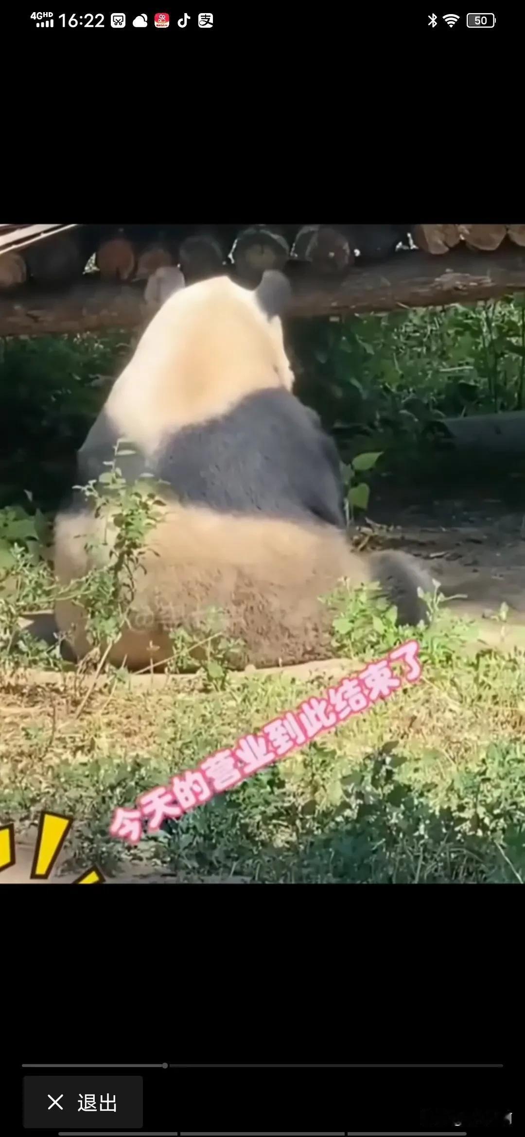 为什么花花4点半就下班了，其实熊猫就非得6点下班？[捂脸][捂脸][捂脸]#熊猫