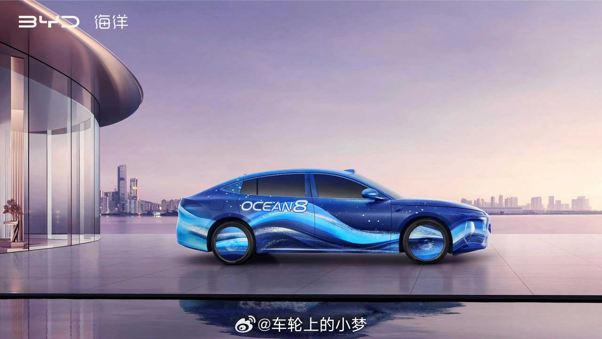 海豹08海狮08亮个相吧，小宝贝！ 