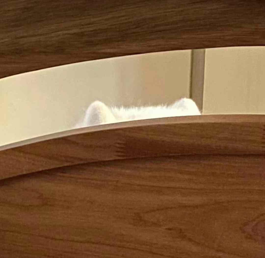 隔墙有耶 ​​​