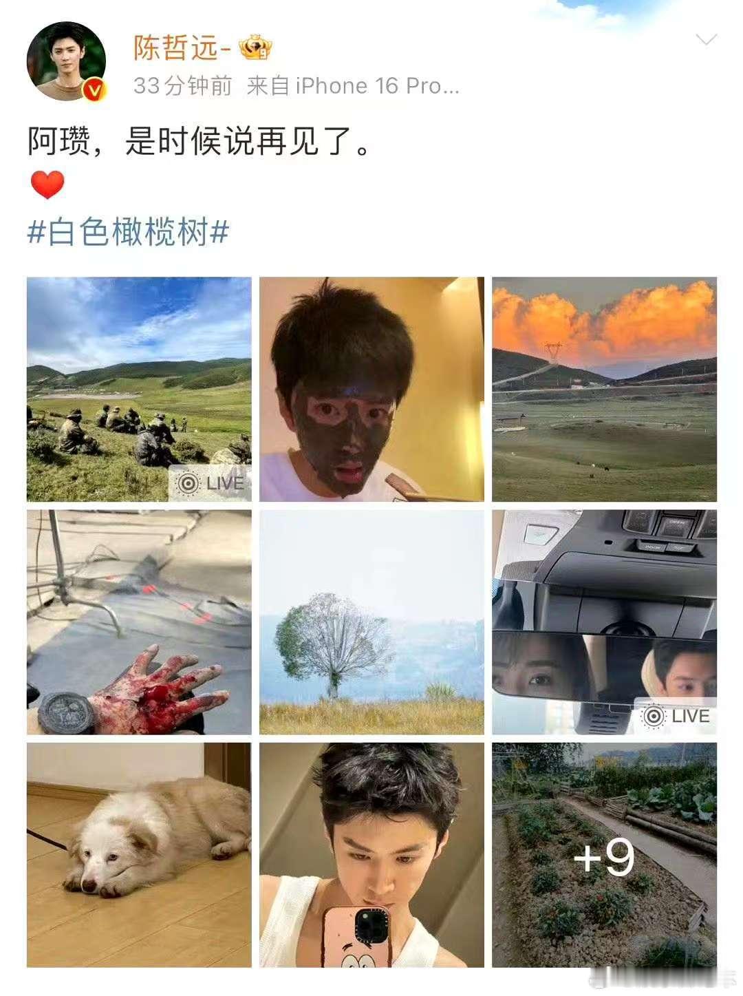 看陈哲远收官博泪水一下变成口水  真的被陈哲远收官博狠狠拿捏！前面阿瓒的告别文案