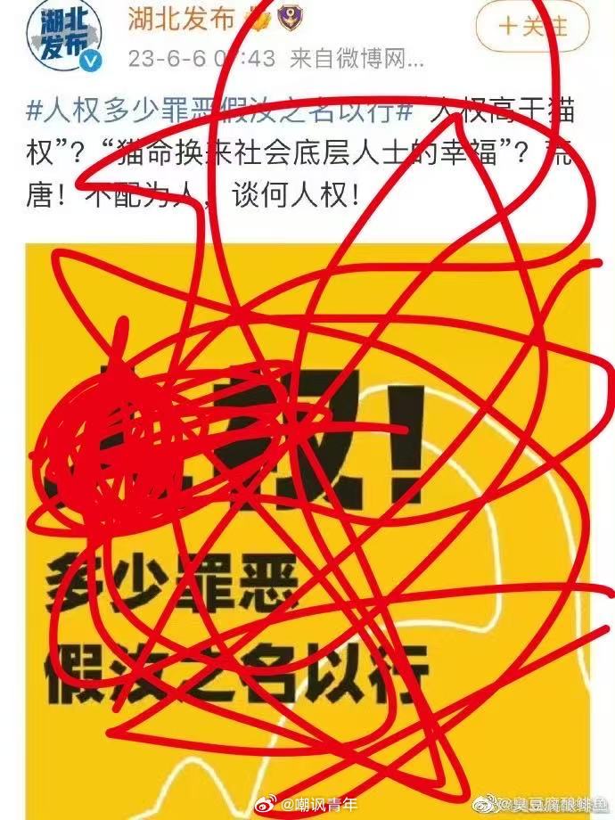 谁还记得这个事，人权不高于猫权[允悲] ​​​
