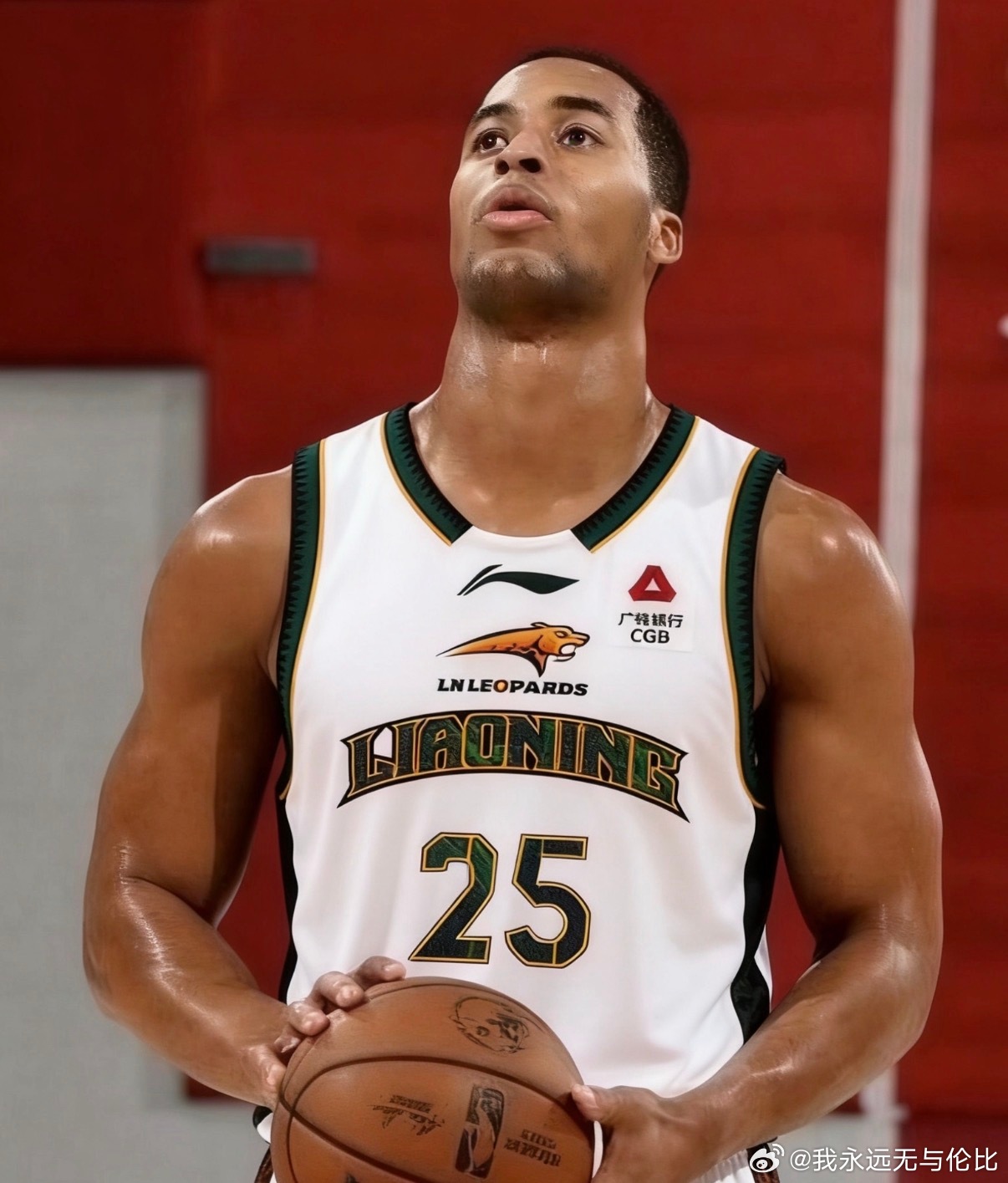 哪淘来的大宝贝啊CBA辽宁男篮