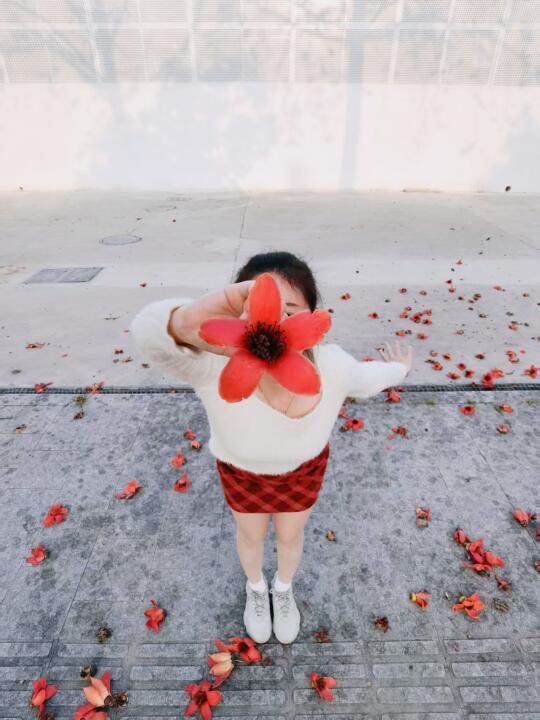 谁能拒绝广东的春天呢