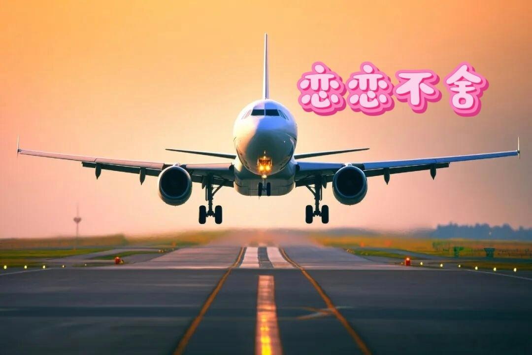 微小说大赛奇思妙想 《恋恋不舍》绣针下的邀约午后的阳光透过雕花窗棂，柔柔地洒在方