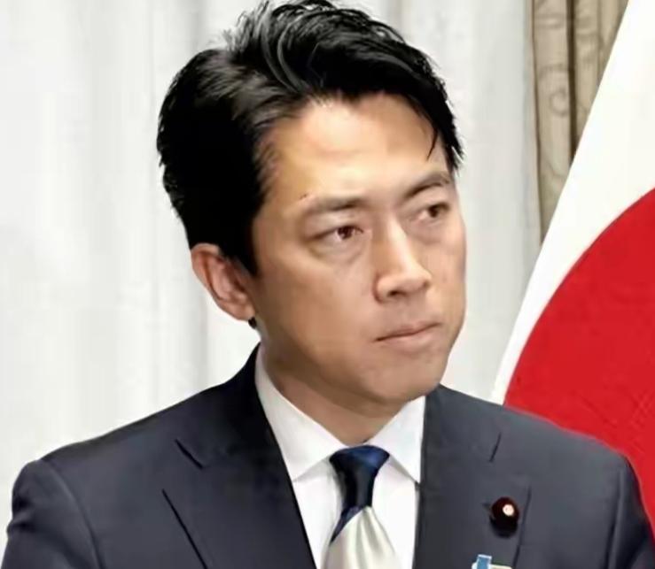 日本政府向全世界宣布，它们就是没有认清形势，没有找准定位！


当下中日博弈早已