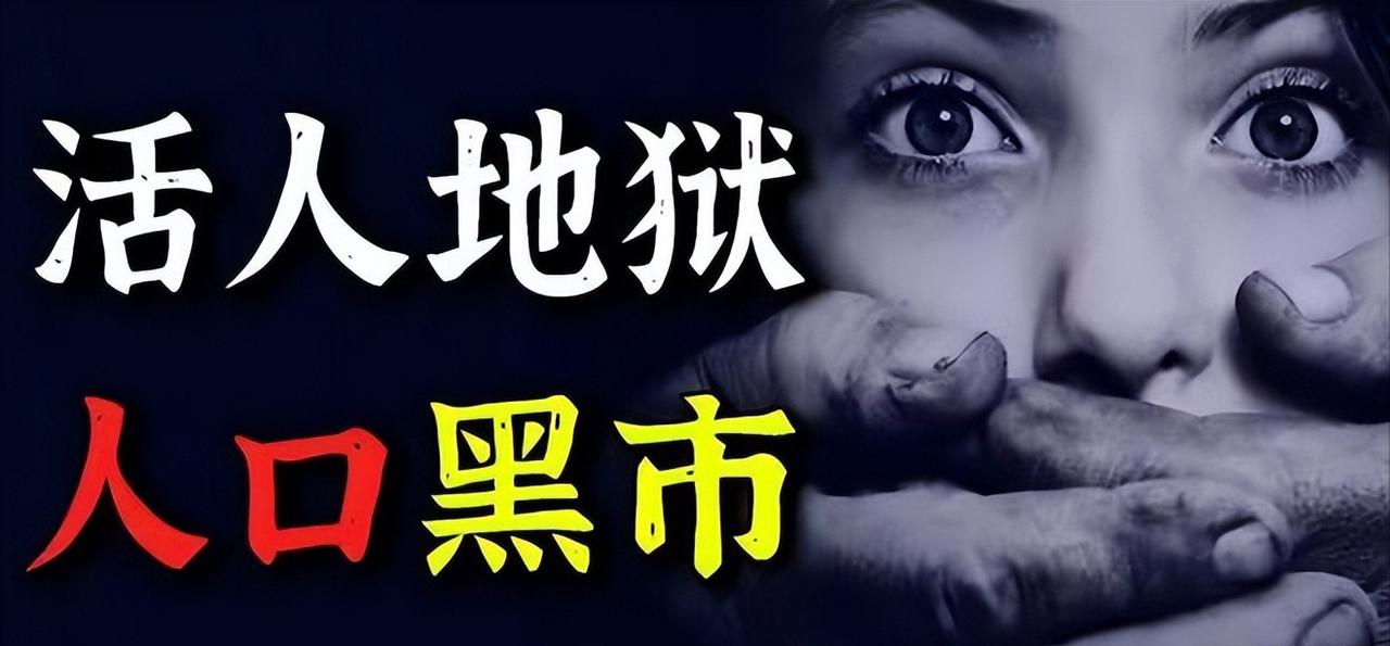 现在的美国已经颠成了所有人看不懂的样子了，从卖血为生的单亲妈妈，到尸体被明码标价