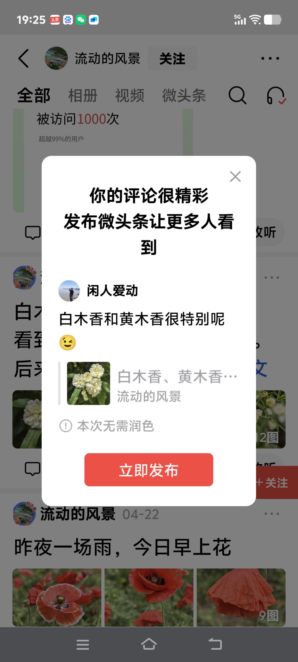 白木香和黄木香很特别呢😉