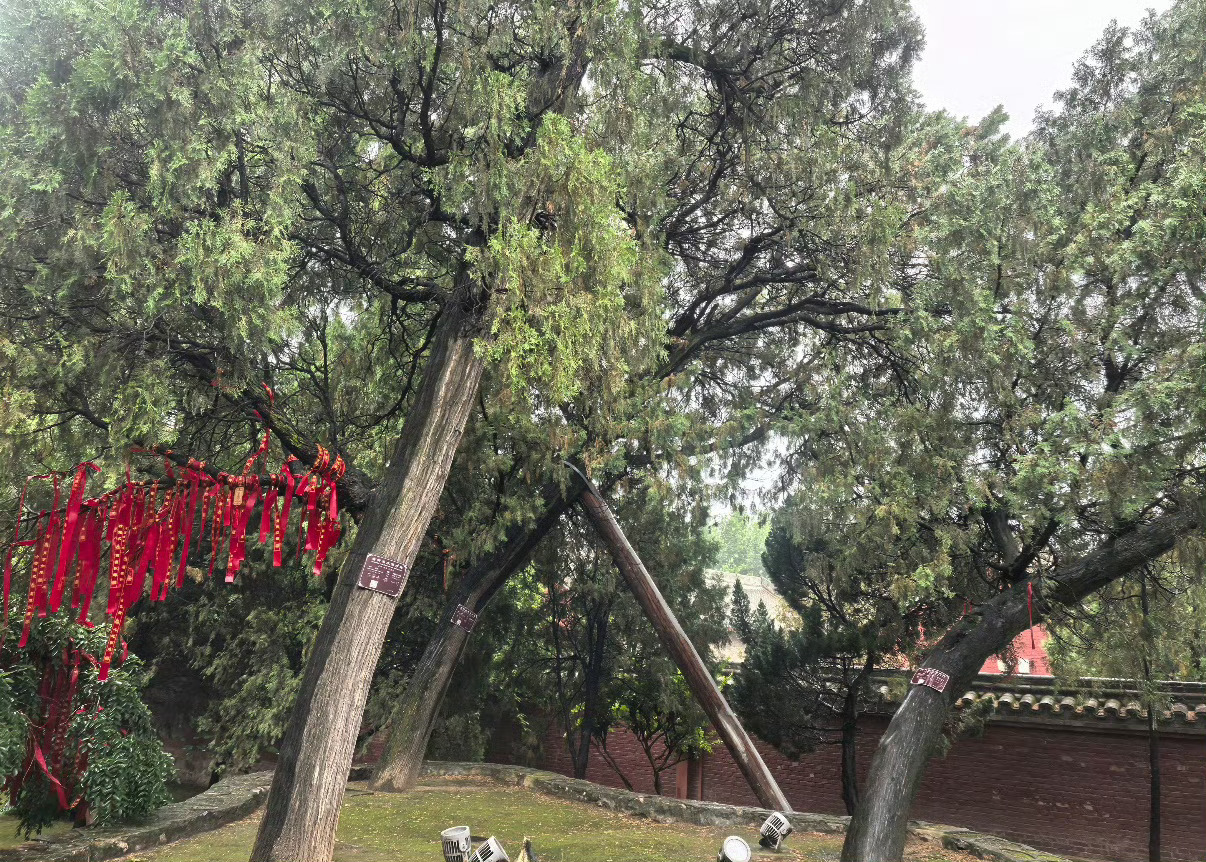 山西关公信俗两岸同心老匠人在关帝庙前扎制关公皮影，指尖翻动间，红脸关公跃然灯上。