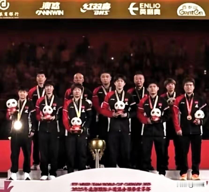 谁懂啊！别人的奖牌被熊猫玩偶挡得严严实实，就孙颖莎的，漏在外面闪闪发光，简直像开