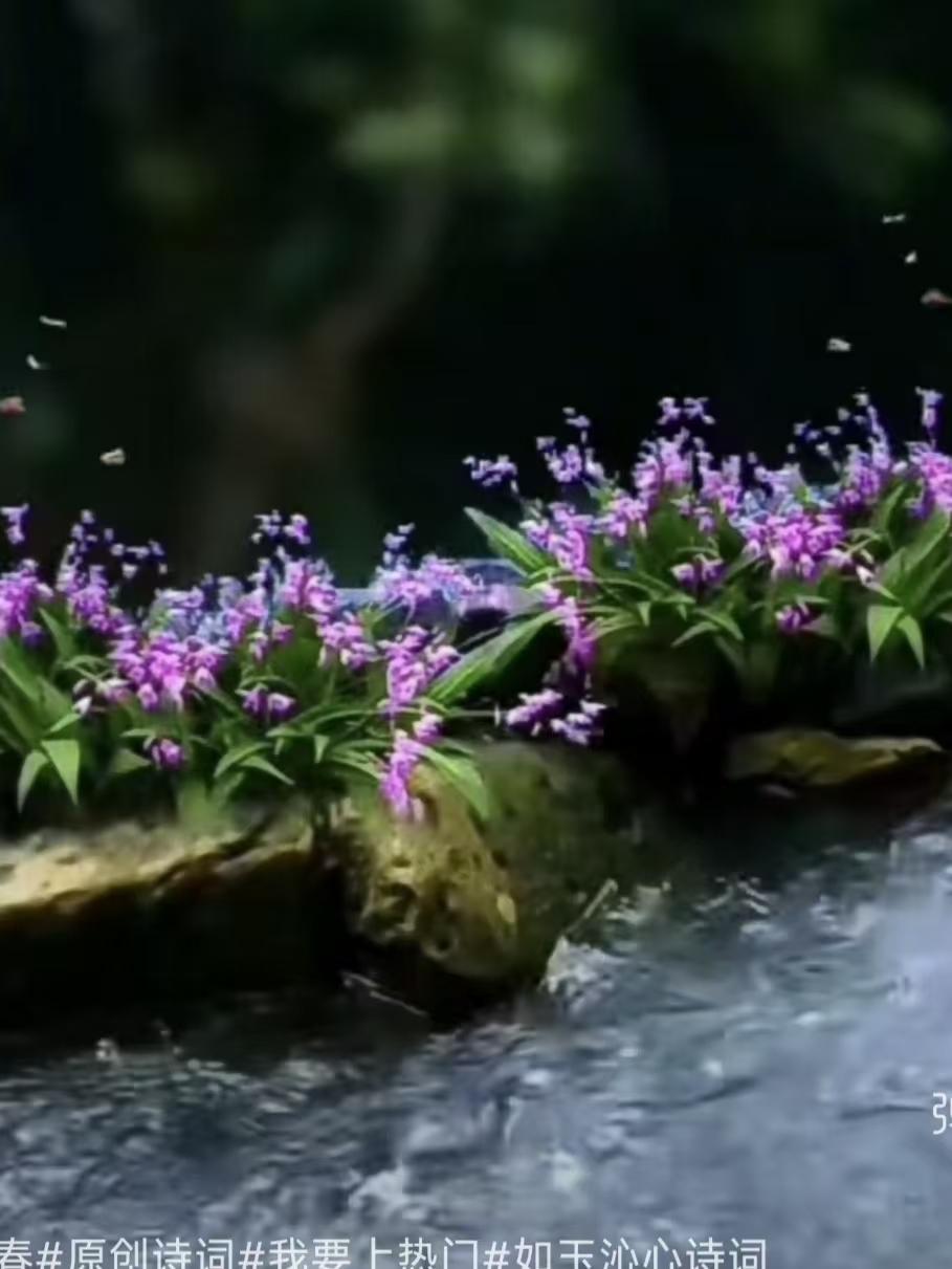 暮春
懒绾青丝对暮烟，
闲寻幽渚小桥边。
风摇残蕊香萦袖，
悄敛春痕入旧弦。