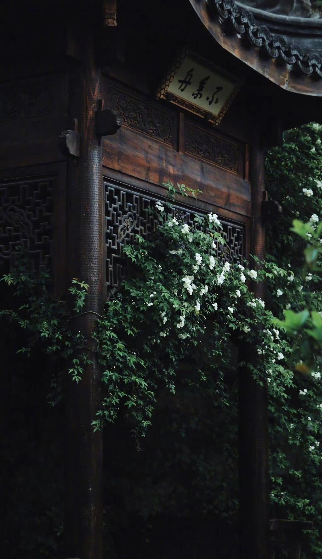 “绿叶。”--刘湛秋朦胧中一个个虚点茸毛与脉络那样纤细在春天的调色板上飘落雨水留