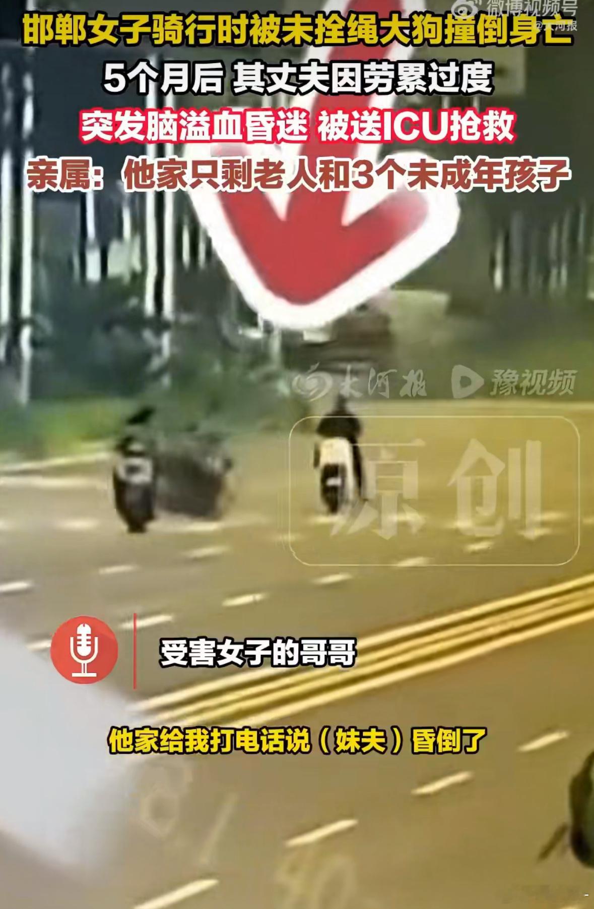 女子被大狗撞倒身亡丈夫住进ICU我一开始看这个词条以为是大狗那辆车，万万没想到真