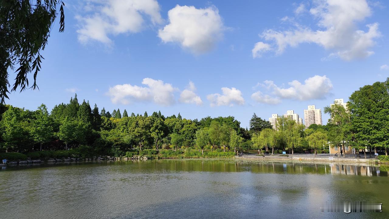 分享一张最近随手拍的照片公园初夏景色新