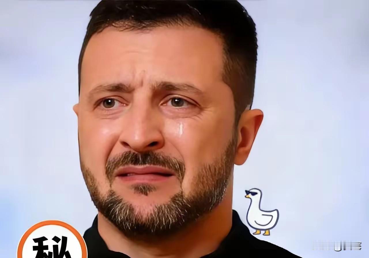 快讯 ！快 讯
 
​乌克兰正式宣告了 ！
​11月26日泽连斯基把最新声明发到