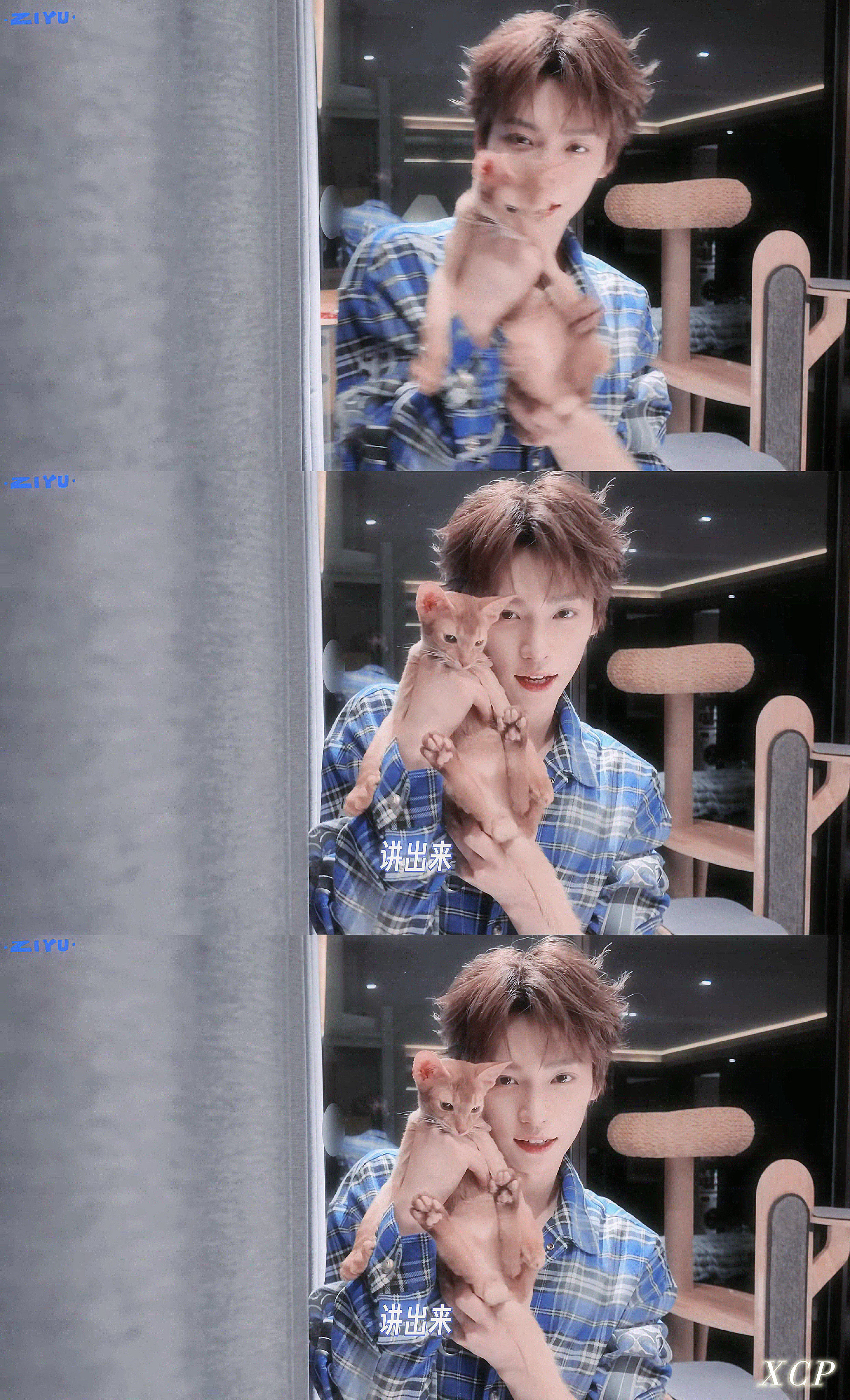 梓渝 zy梓渝未来可期 如果爱是甘拜下风那我愿意为你下跪数次