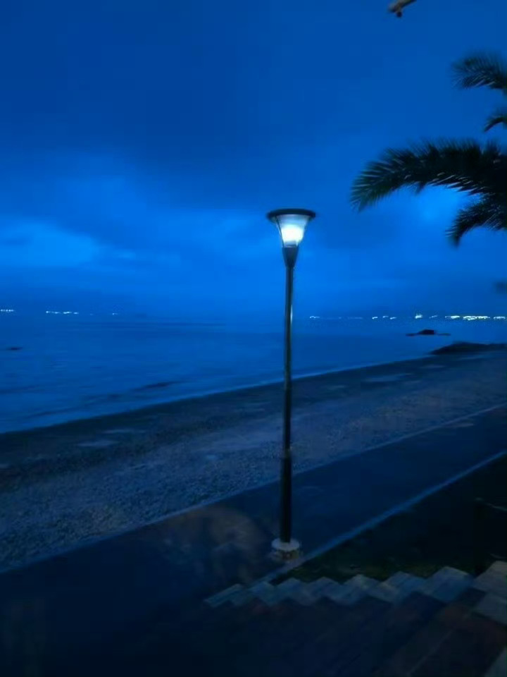 你在左边 我紧靠右live 实况图| 素材图 | 动图背景图 | 风景 大海 椰