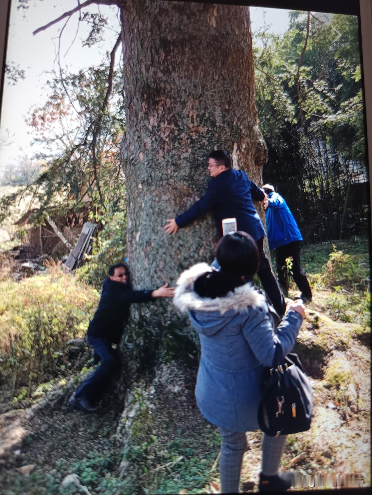 今天，你坚持头条创作了吗
 
坚持头条创作这条路，没有捷径，全靠日复一日的坚守。